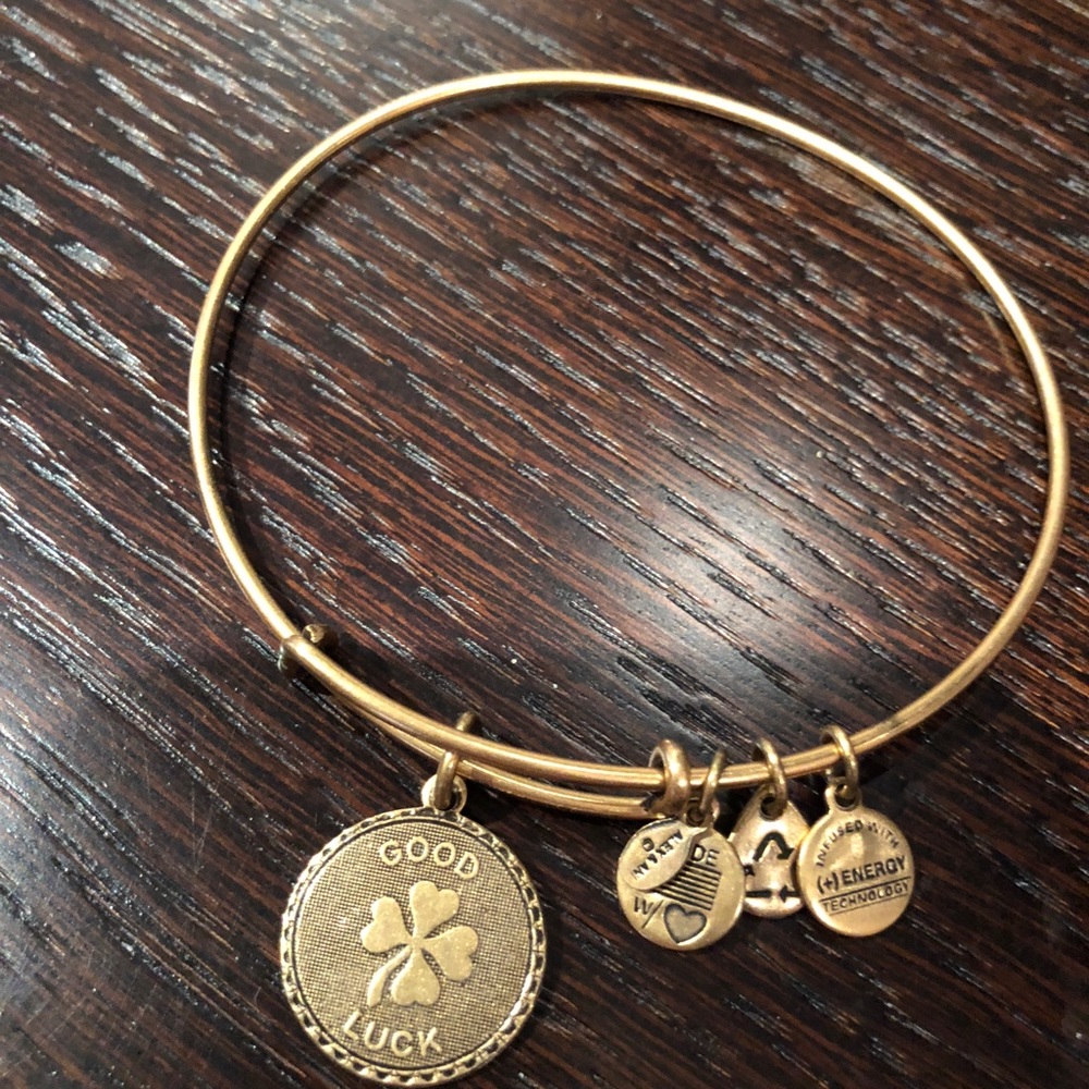 Alex and Ani charm bangle lucky